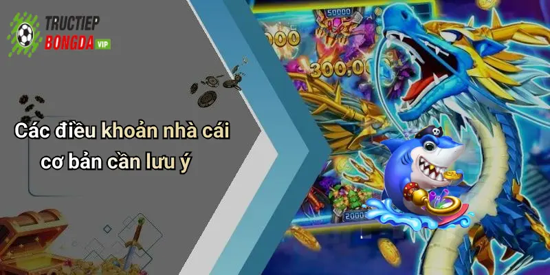 Các điều khoản nhà cái cơ bản cần lưu ý