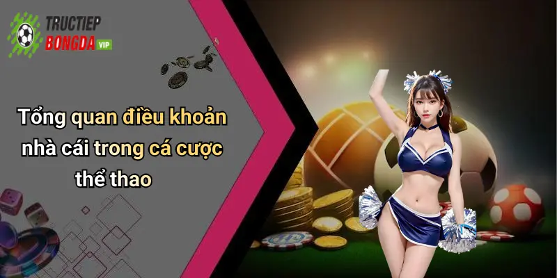 Tổng quan điều khoản nhà cái trong cá cược thể thao