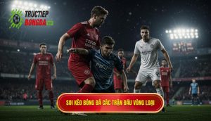 Soi kèo bóng đá các trận đấu vòng loại