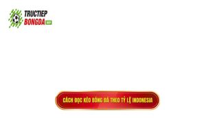 Cách đọc kèo bóng đá theo tỷ lệ Indonesia