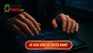 thumb - cá cược bóng đá chuyên nghiệp