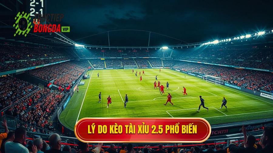 Lý do kèo tài xỉu 2.5 phổ biến