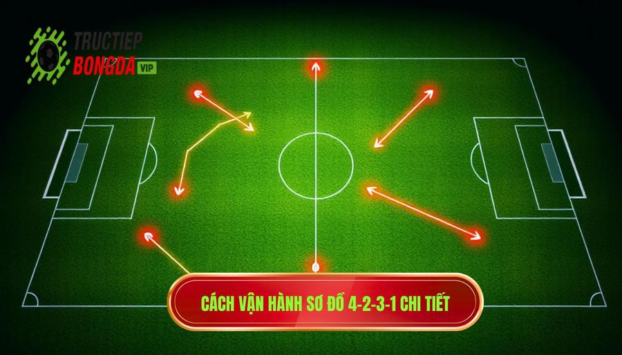 Cách vận hành sơ đồ 4-2-3-1 chi tiết