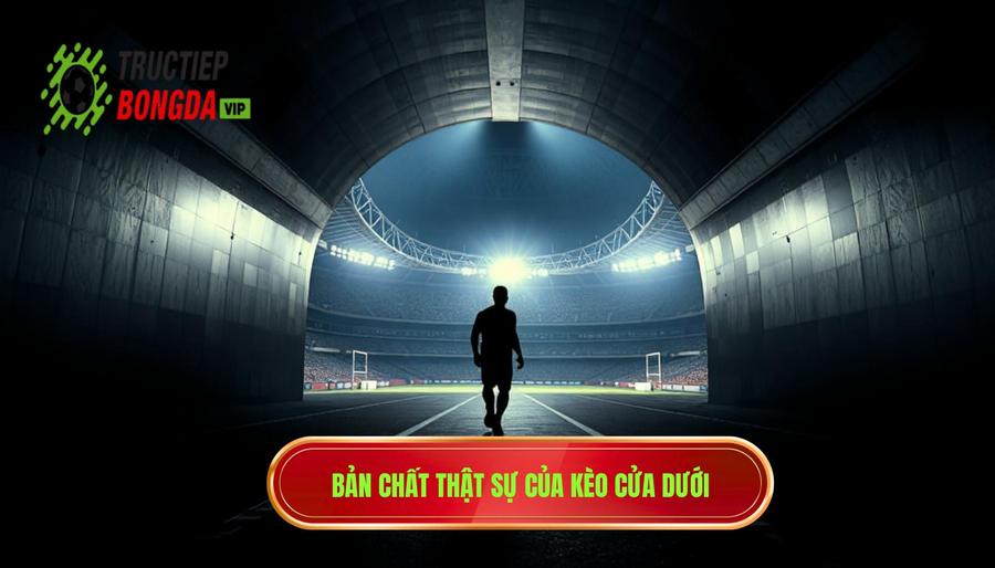 Hiểu đúng về bản chất của kèo cửa dưới