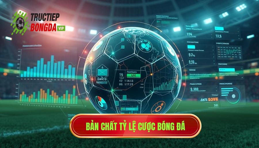 Hiểu rõ bản chất của tỷ lệ cược trong bóng đá