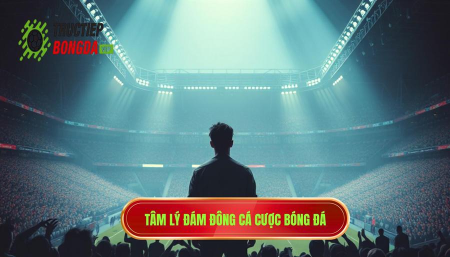 Hiểu đúng về tâm lý đám đông trong cá cược bóng đá