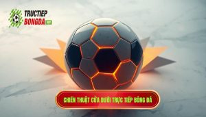 Khi nào nên theo cửa dưới? Bí quyết soi kèo từ chuyên gia